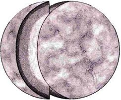 Nam Chorios (AMH1).jpg