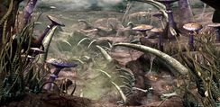 Sarlacc-Felucia.jpg