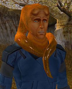 Bolook.jpg