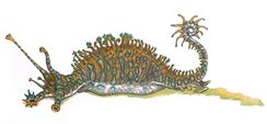 800px-Granite Slugs.jpg
