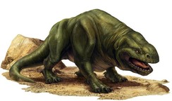 Dewback 01.JPG