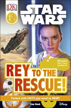 Rey to the Rescue.jpg